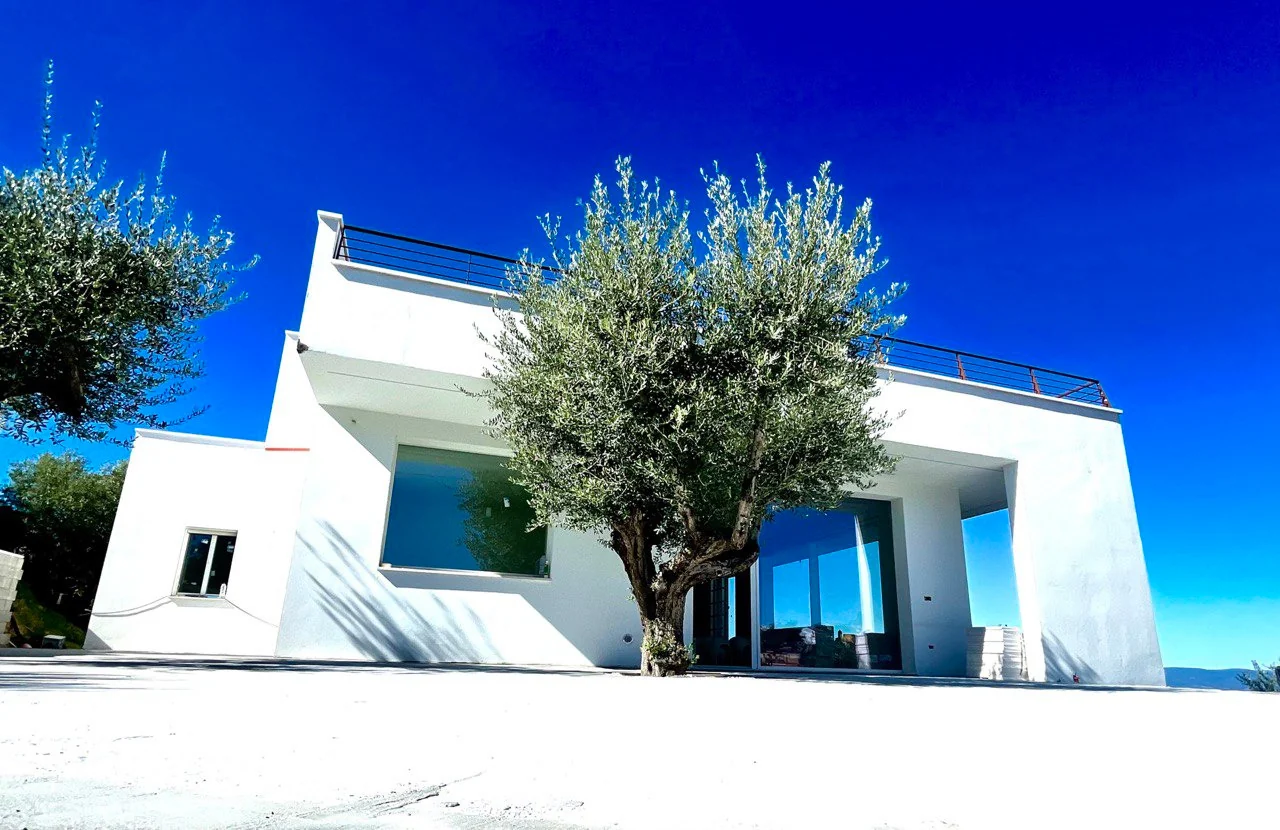 Residenza bianca con grandi aperture e ulivi · vista 1